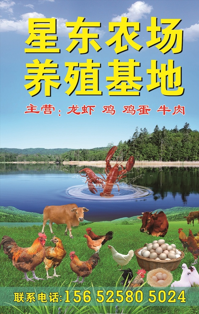 农场养殖基地 龙虾 鸡 鸡蛋 牛肉 牛 野生牛 动物园单页 星东农场 新疆野生 动物园 dm宣传单 蓝天白云底图 森林 大山 草地 矢量