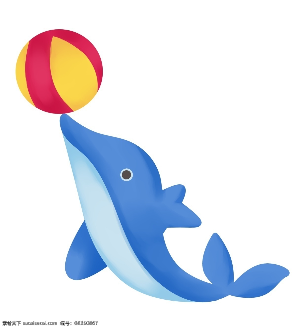 玩 球 水 生物 海豚 玩球海豚 海洋生物 动物