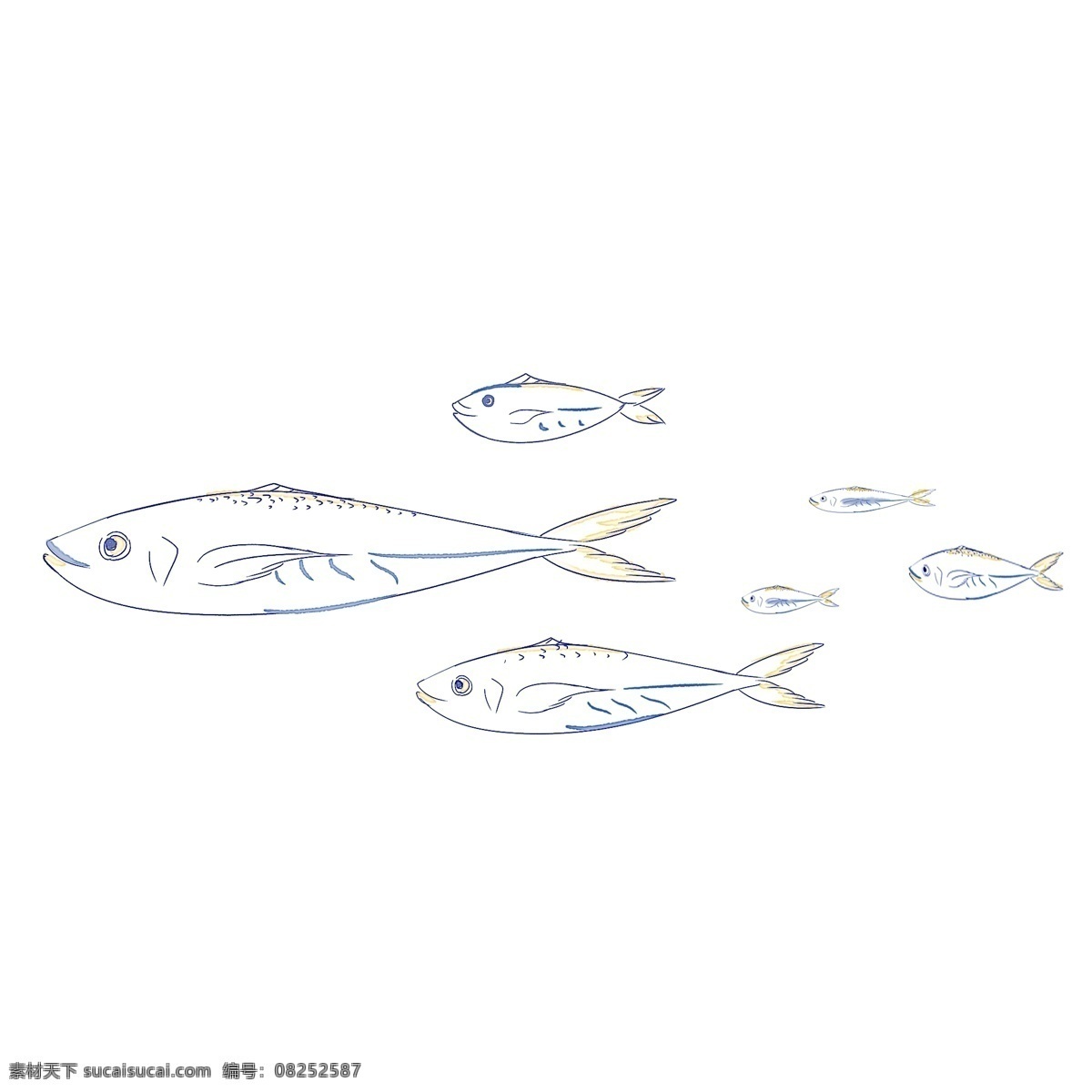 海洋 鱼 花边 蓝色 金色 鲅鱼 鱼群 水彩 清新 纹饰 海洋鱼 深海鱼 蓝色鱼 线条感 手账 手绘 大海