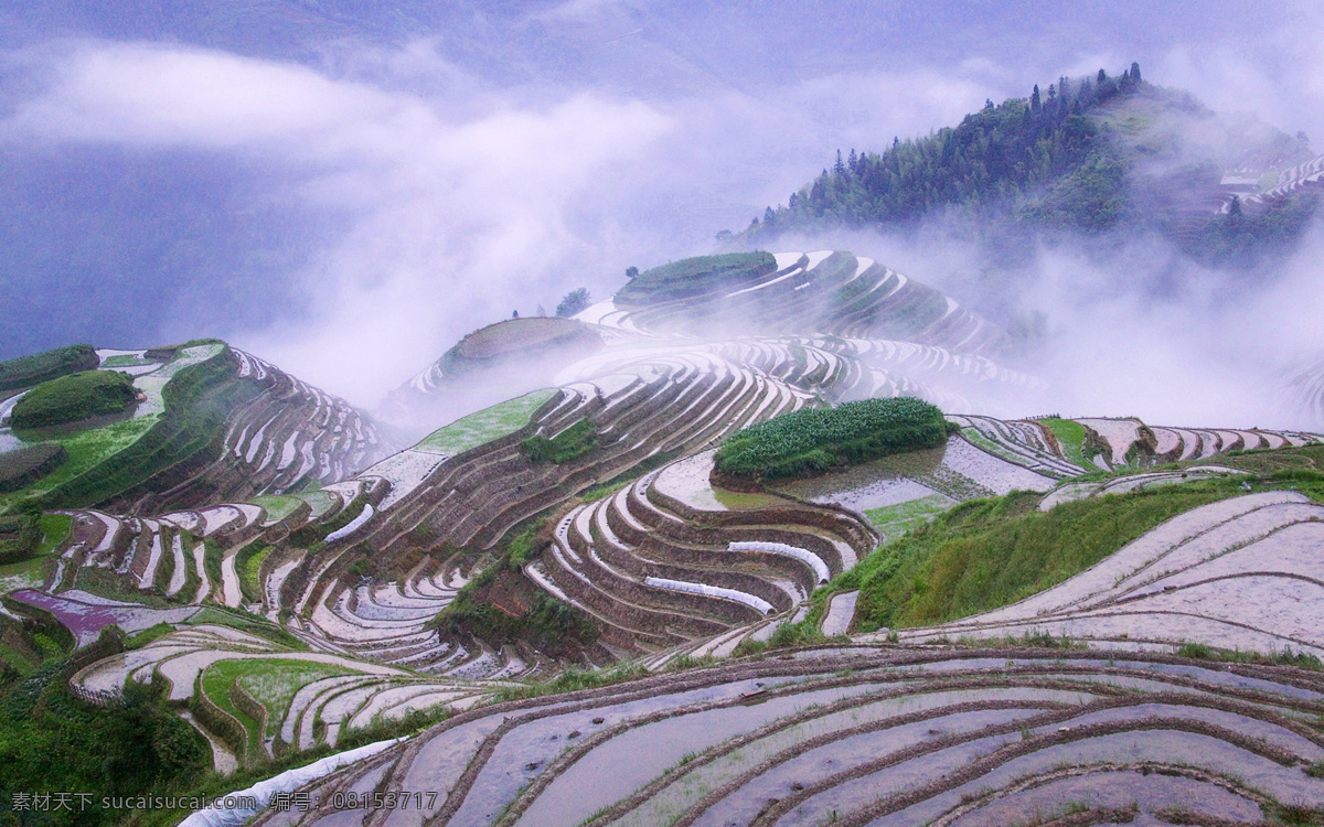 梯田 风景 蓝天 白云 云海 山脉 自然风景 自然景观