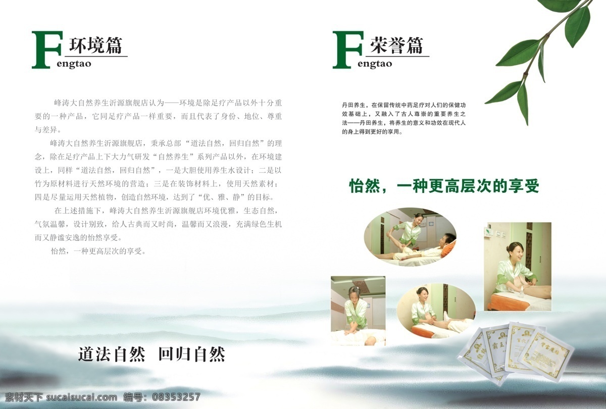 足疗封面 水墨画 叶子 足疗 封面 足疗内容 足疗内页