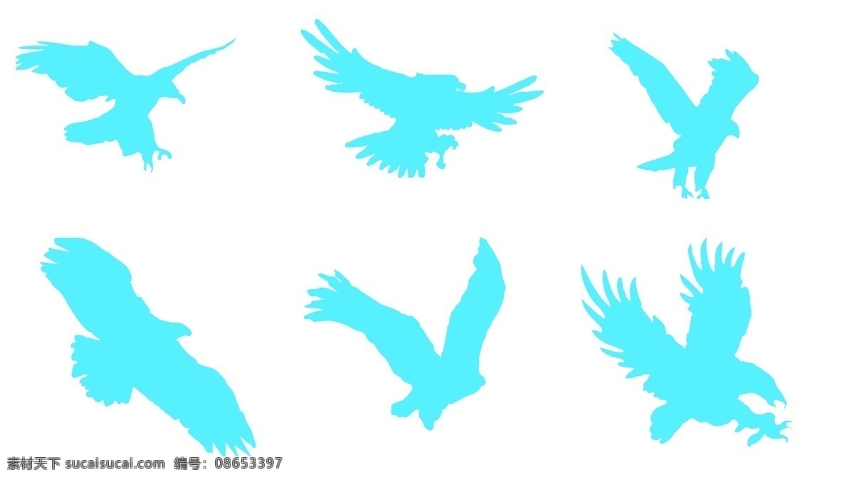 老鹰素材 老鹰 鹰 鸟 矢量 多种鸟 多种老鹰 生物世界 鸟类