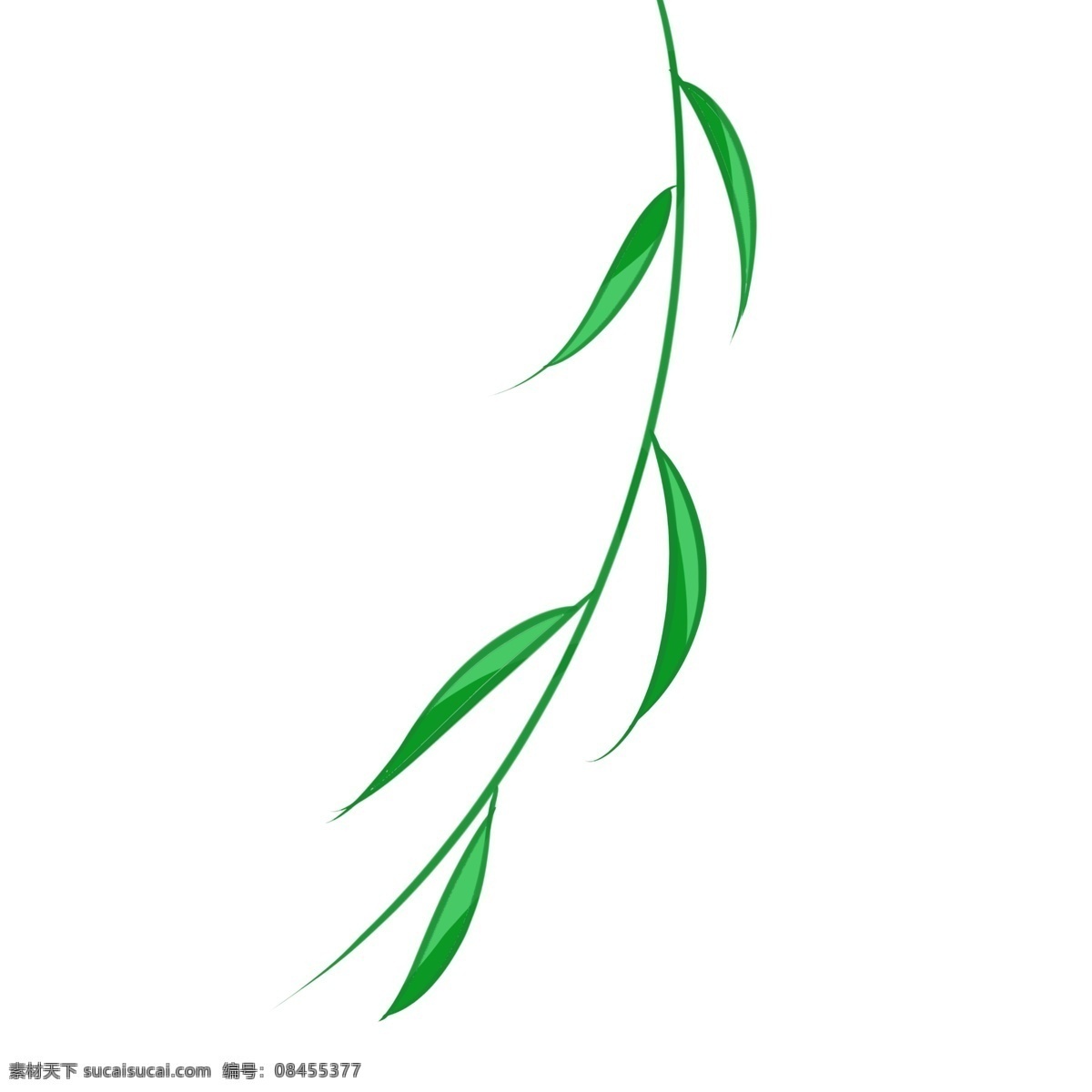 端午 佳节 柳叶 元素 节日 绿色 植物 柳枝 简约 手绘
