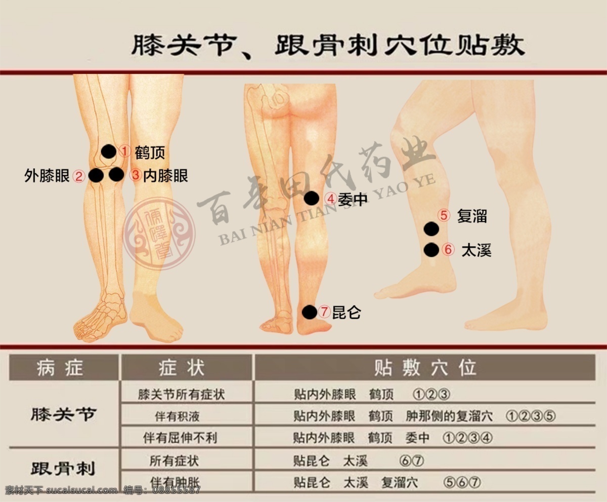 膏药贴敷 膏药海报 穴位 穴位海报 人体图
