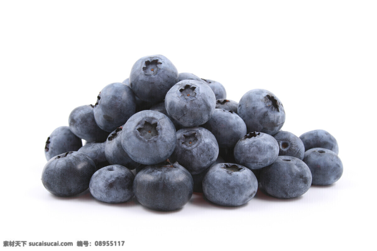 蓝莓 水果 野生蓝莓 新鲜 果蔬 果实 蓝莓果 水果蔬菜 生物世界
