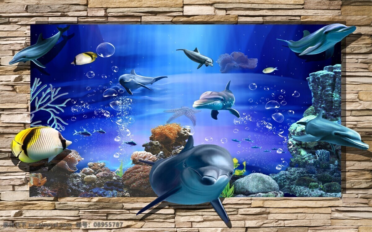 海豚 潜水儿童 可爱 蓝色 潜水 儿童 鱼 自然景观 自然风光