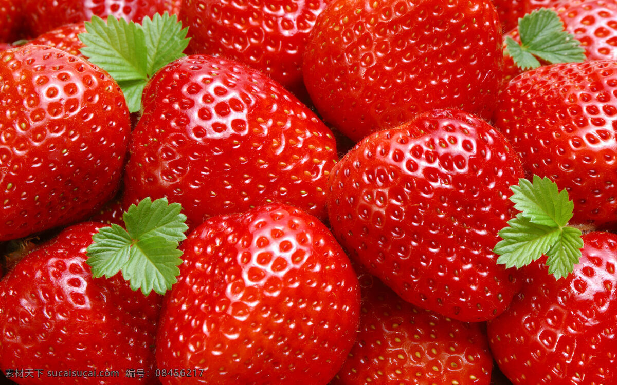 草莓 水果 大草莓 草莓写真 草莓实物 生物世界