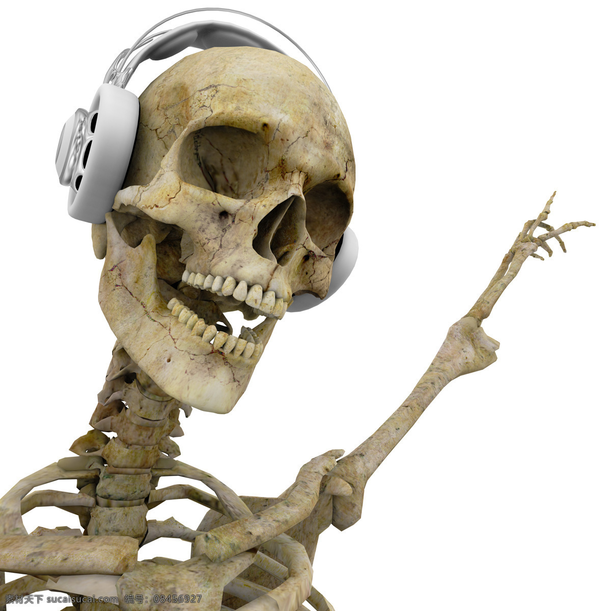 戴 耳机 骷髅 戴耳机的骷髅 听音乐的骷髅 骨架 万圣节素材 节日庆典 生活百科