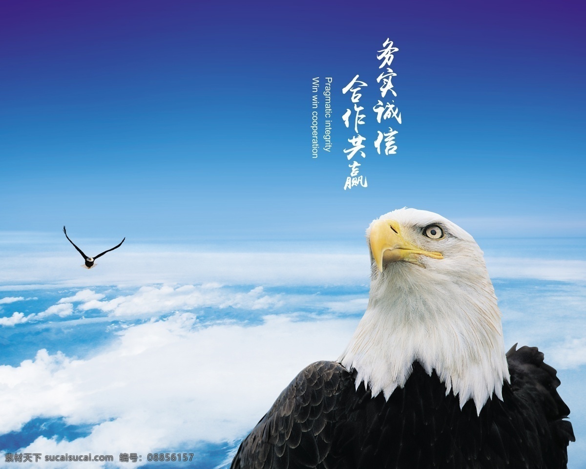 务实诚信 合作共赢 企业文化 蓝天 白云 雄鹰