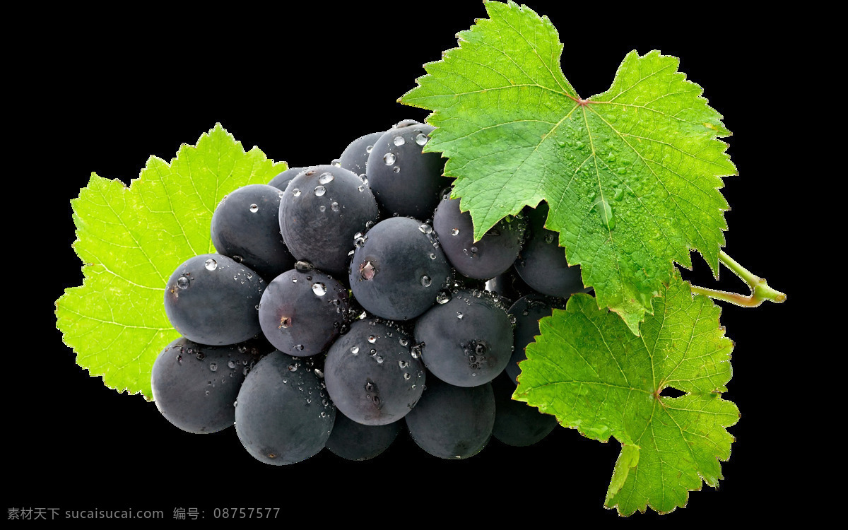 葡萄图片 葡萄 透明底葡萄 大葡萄 多汁葡萄 绿叶葡萄 摄影模板 其他模板