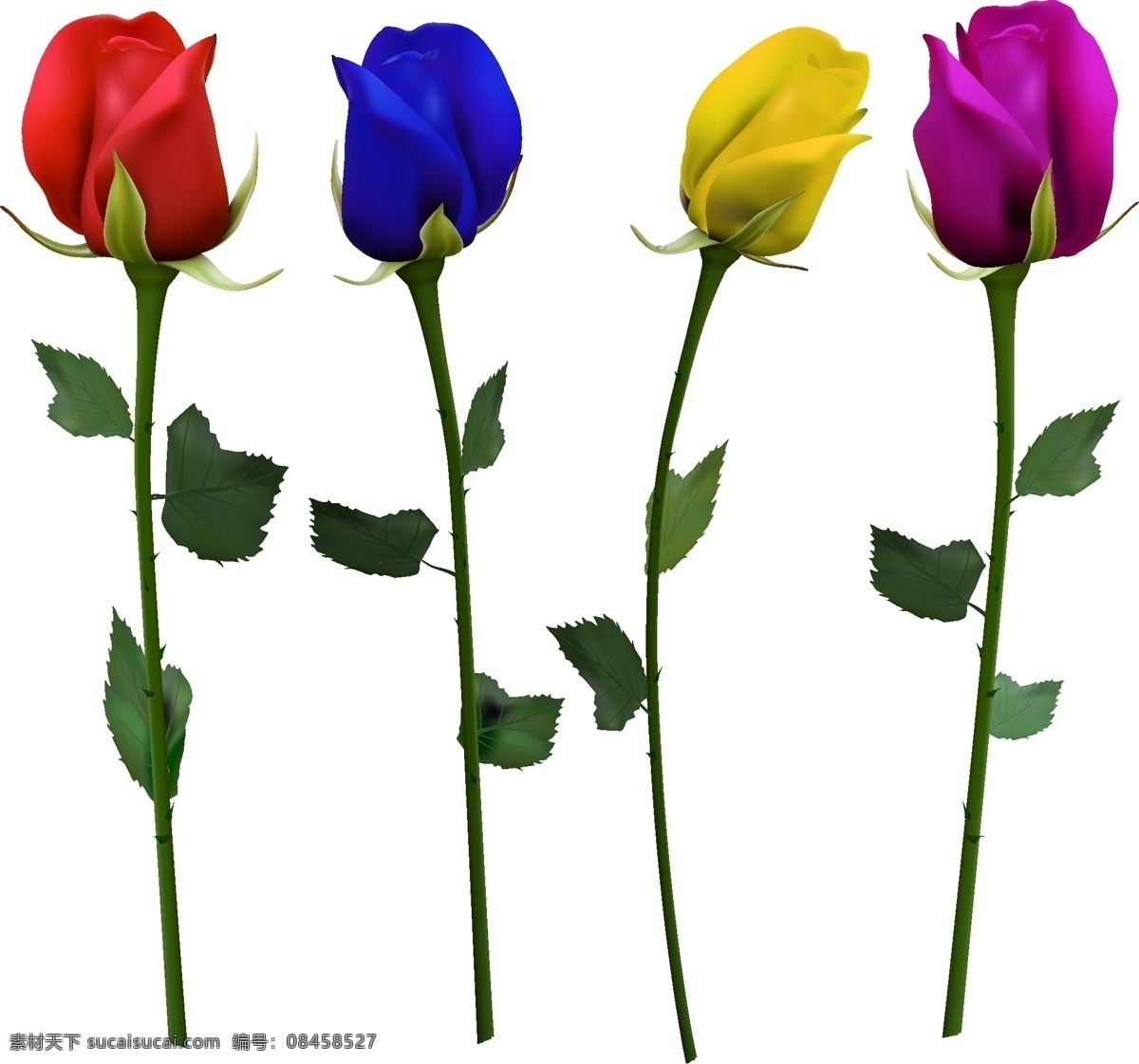 彩色 玫瑰花 红玫瑰 蓝玫瑰 黄玫瑰 紫玫瑰 植物 矢量 高清图片
