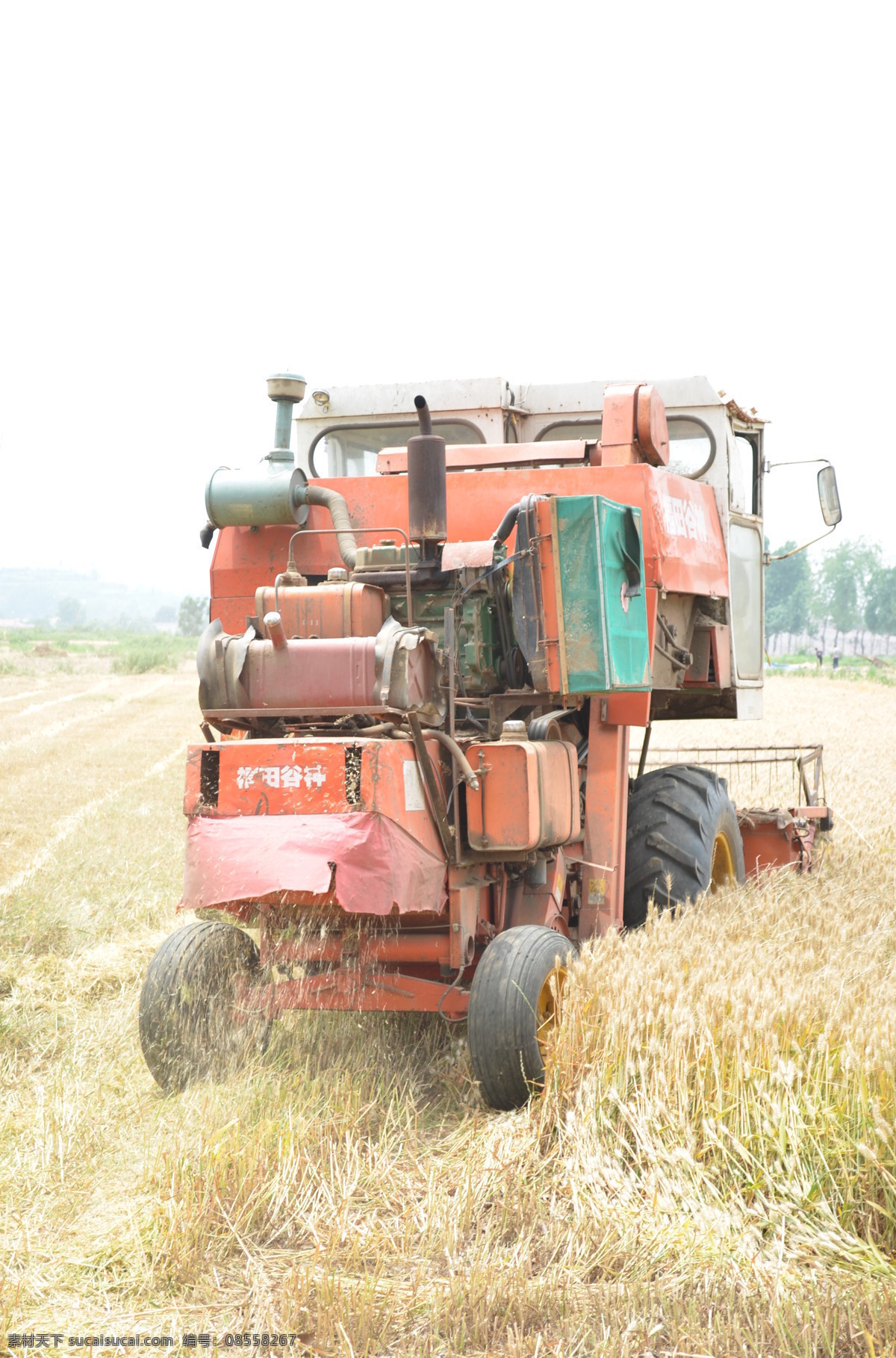 夏收 收割机 收割 小麦 成熟 土地 天空 晴天 树木 人 秸杆 红色 白色 农业生产 现代科技