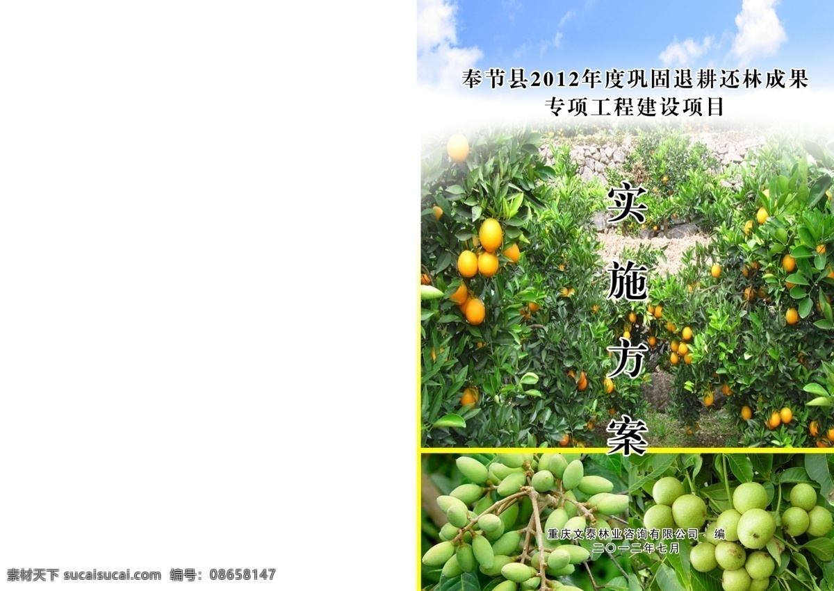 退耕还林 成果 封面 模板下载 脐橙 核桃 油橄榄 画册设计 广告设计模板 源文件 白色