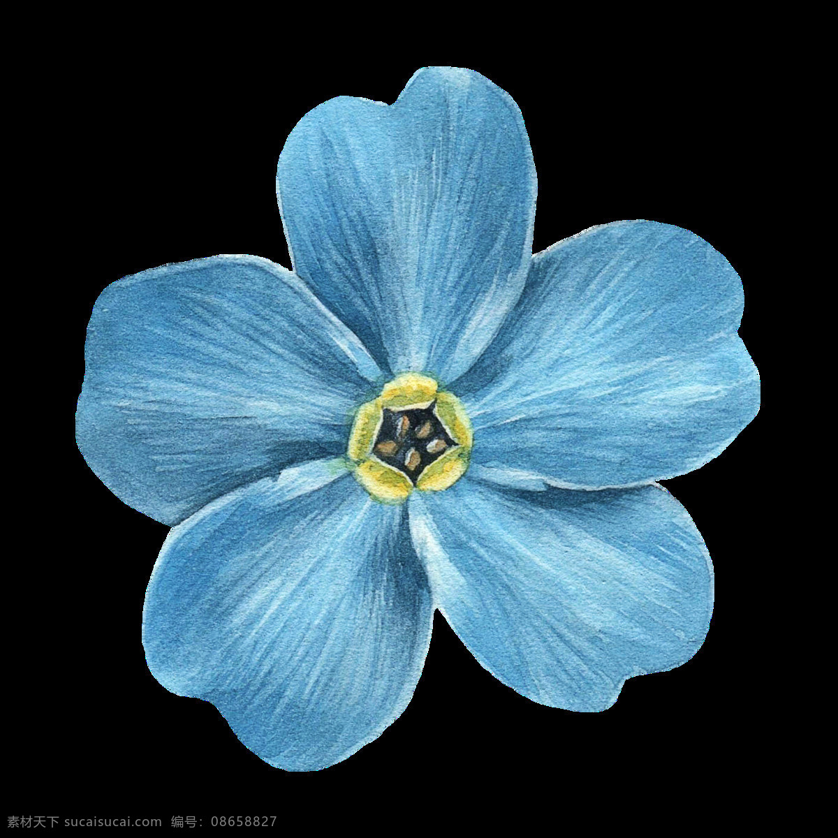 手绘 蓝色 花 透明 花纹 海蓝色 五片花瓣 心形花瓣 透明素材 免扣素材