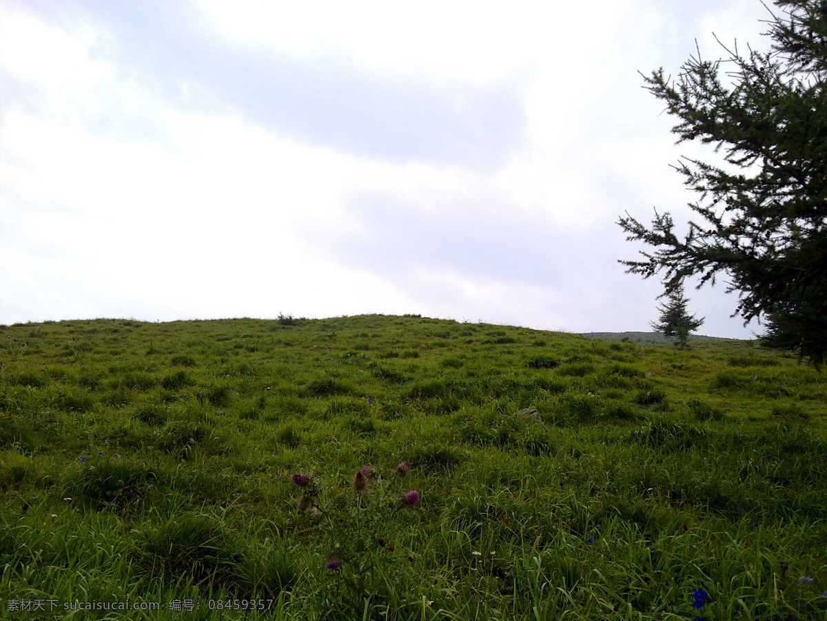 五台山 草甸 山顶 文殊菩萨 旅行 旅游摄影 自然风景 白色