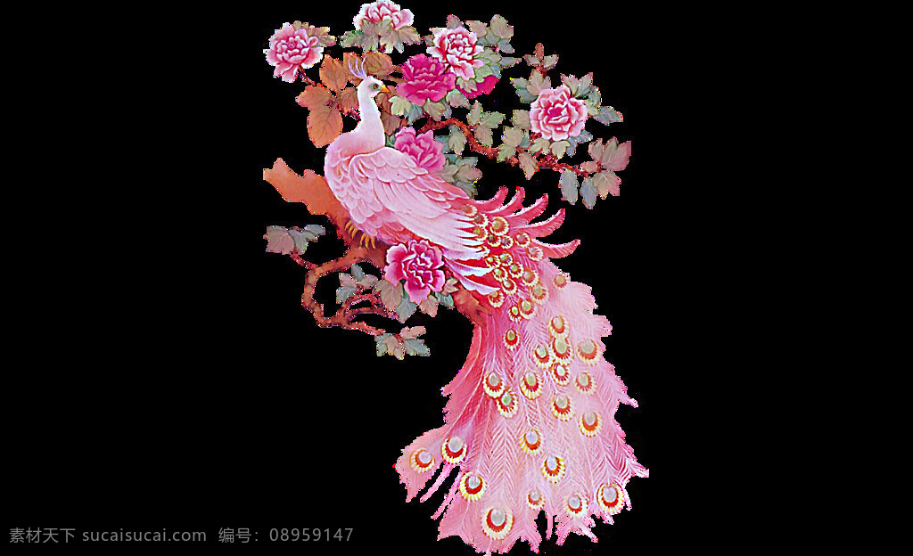 卡通 粉色 鲜花 孔雀 元素 png元素 动物 免抠元素 透明素材