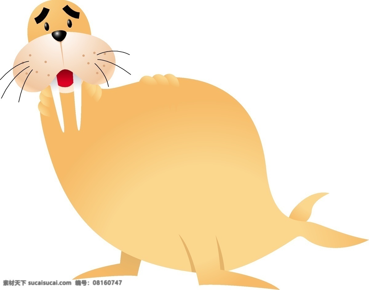 海豹免费下载 动物 海豹 海狗 矢量图 其他矢量图