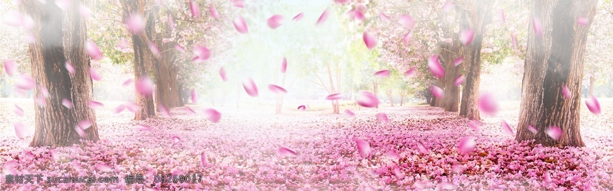 桃花 林 banner 背景 春天 花 树 落花 云