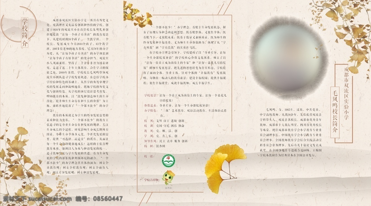 小学宣传折页 中国风 传统 银杏 宣传折页 小学 平面设计 画册设计