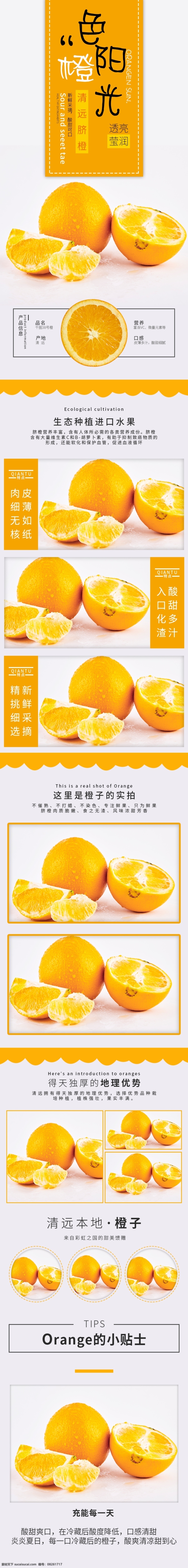 淘宝 电商 脐橙 简约 小 清新 详情 模版 淘宝电商 橙子 水果 食品茶饮