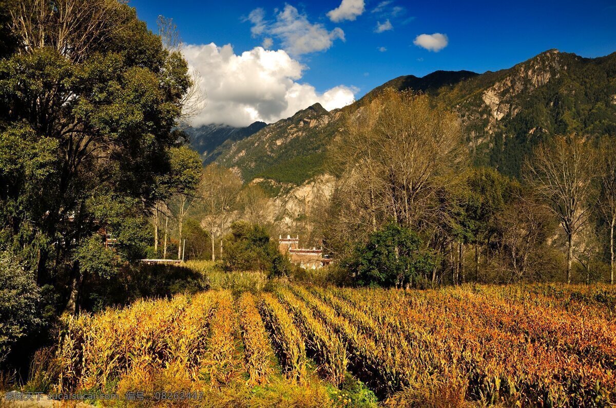 四川 丹巴 甲 居 藏 寨 风景