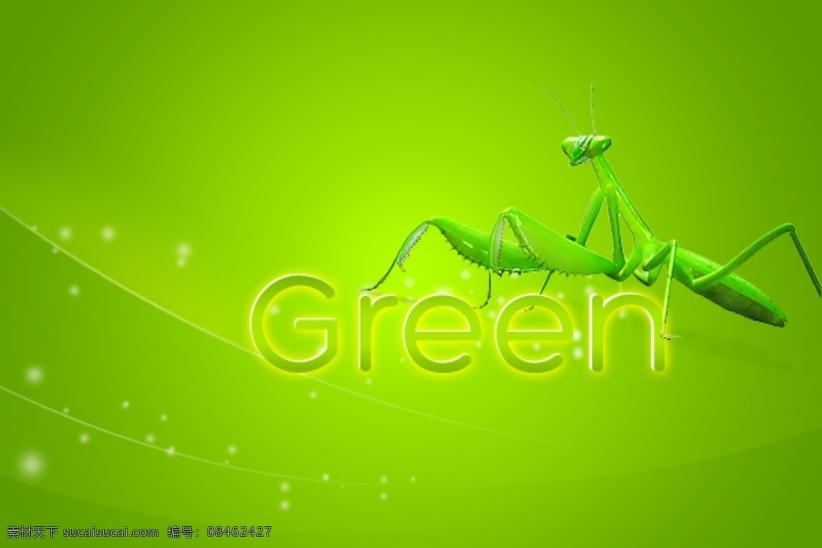 螳螂 green 光点 ps网页 中文模板 网页模板 源文件