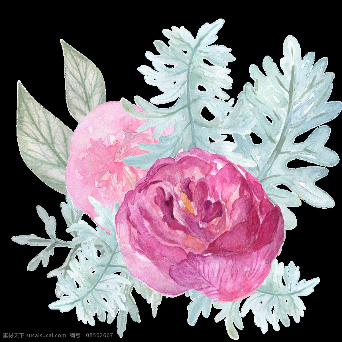 手绘 粉色 鲜花 透明 合集 免 扣 白色 插画 红色 花瓣 花朵 花卉 橘色 卡通 绿色 绿叶