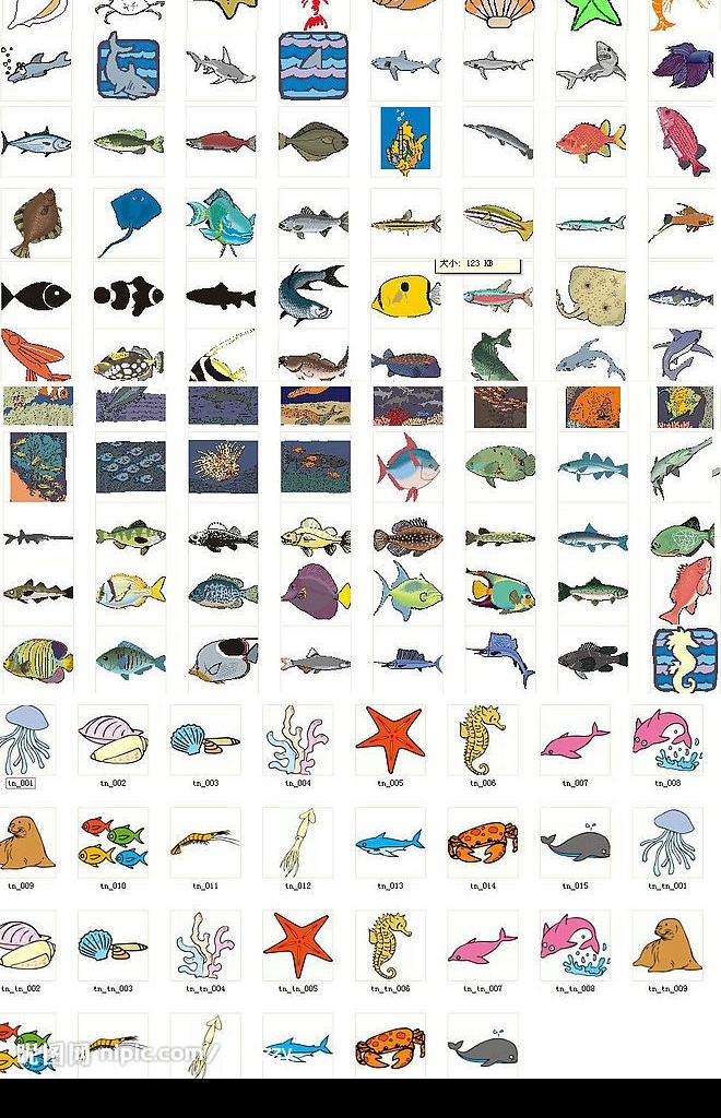 海洋生物 生物 生物世界 矢量图库