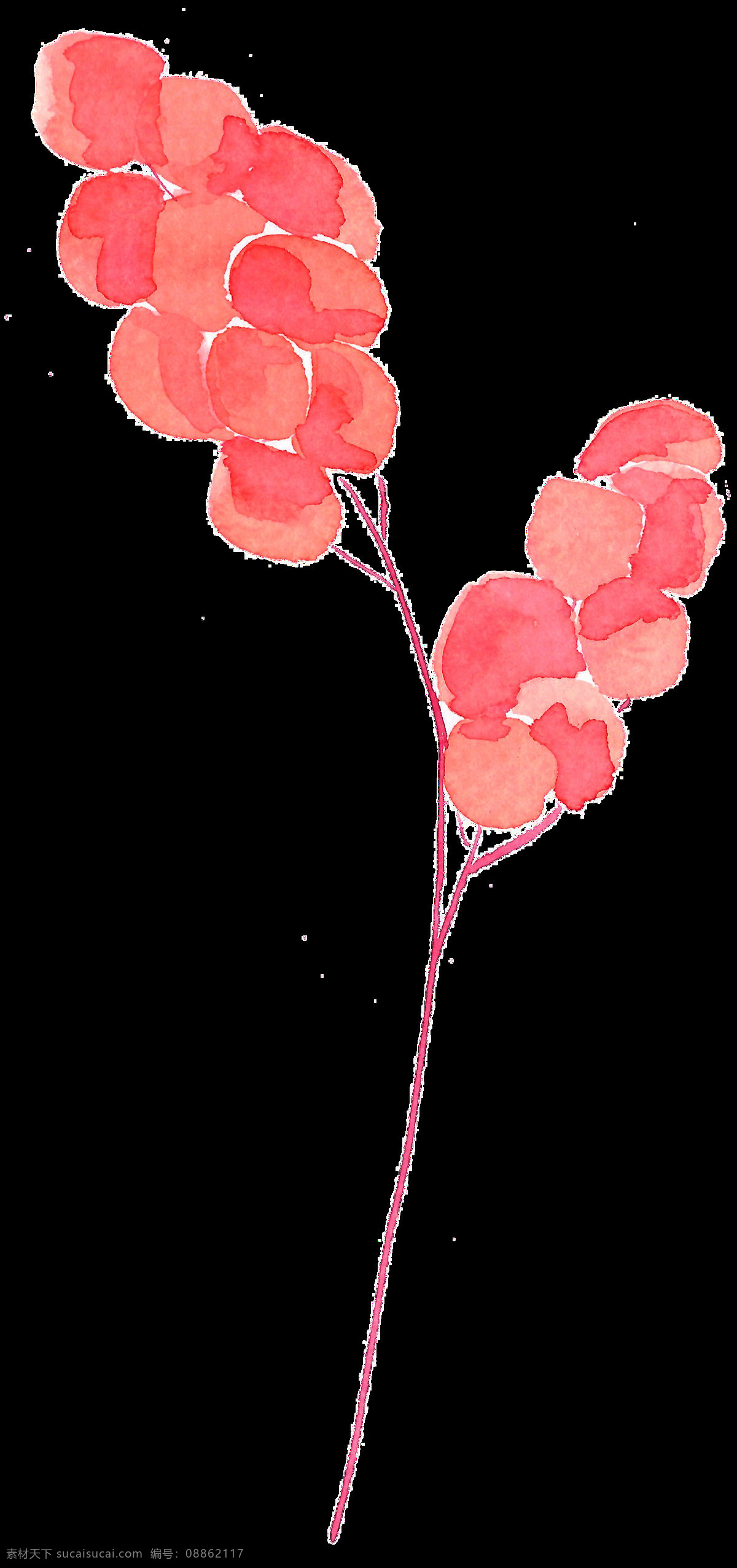 通 红桃 叶 卡通 透明 桃红 植物 透明素材 免扣素材 装饰图案