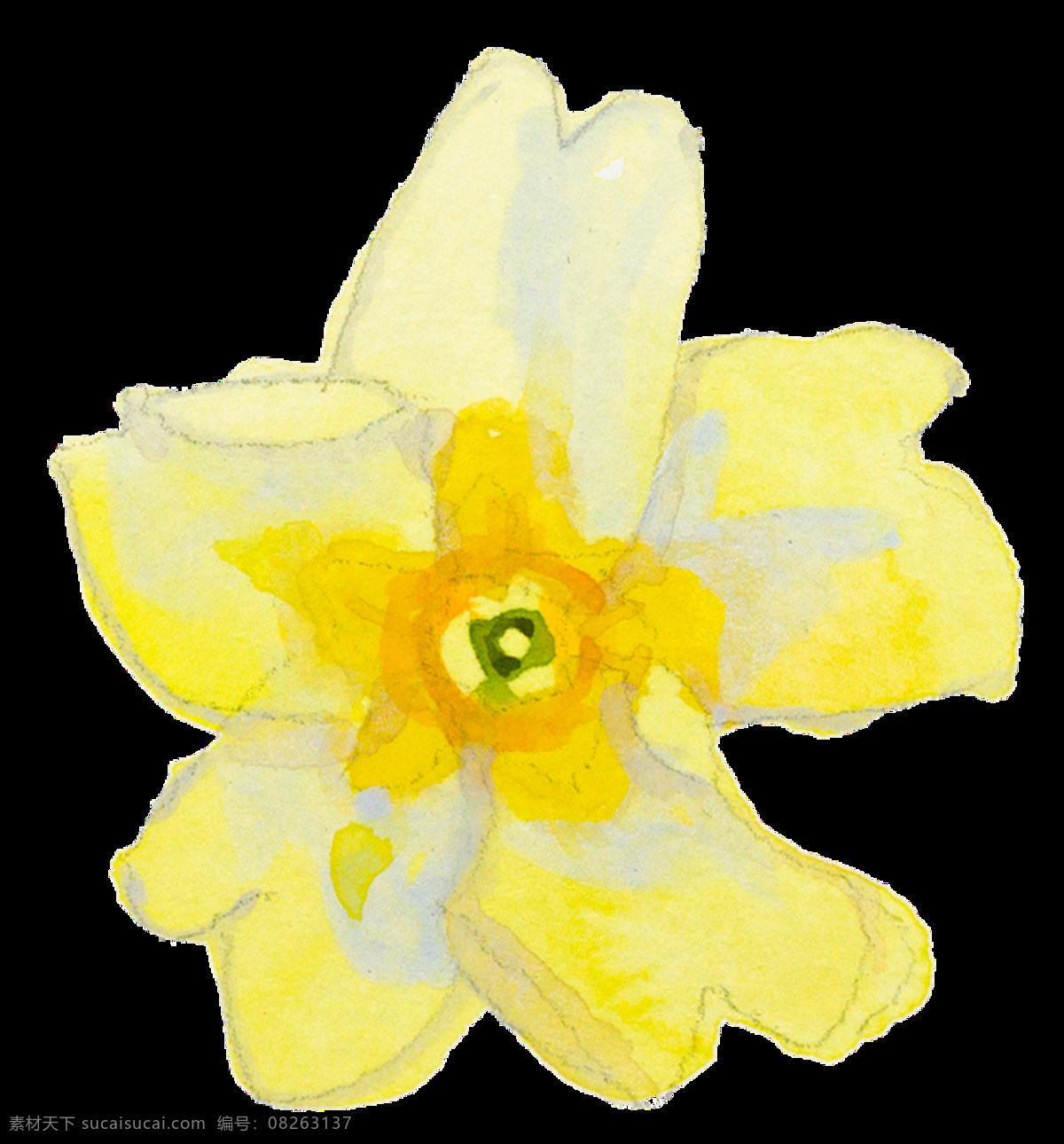 黄色 卡通 大花 水彩 透明 手绘 花朵 透明素材 装饰素材
