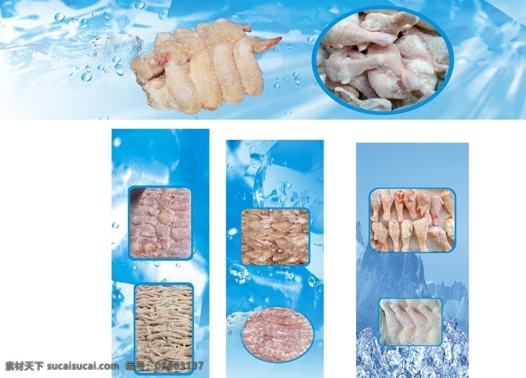 冻鸡翅 冻制品 冻鸡腿 冰冻肉 冻品 冻肉 家禽家畜 生物世界 矢量