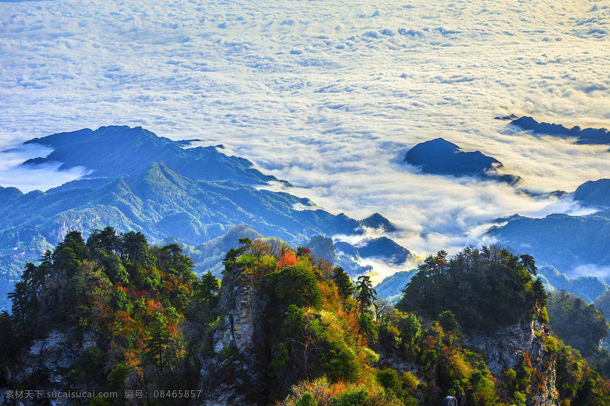 翠峰云海 武当山 云海 壮观 春天 秀美风光 自然景观 风景名胜