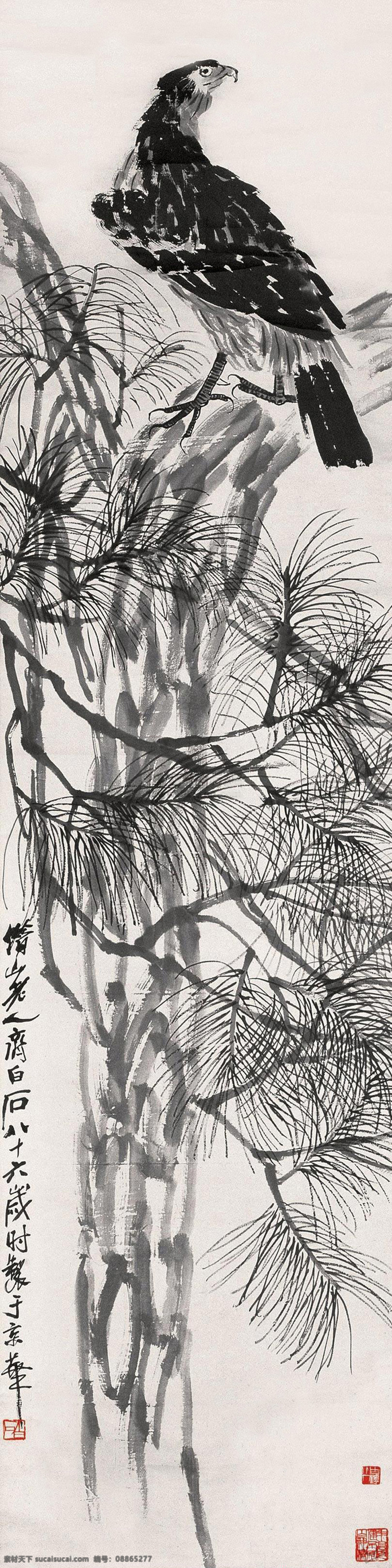 松树老鹰 齐白石 花鸟 写意 国画 近现代绘画 松树 老鹰 齐白石作品 文化艺术 绘画书法