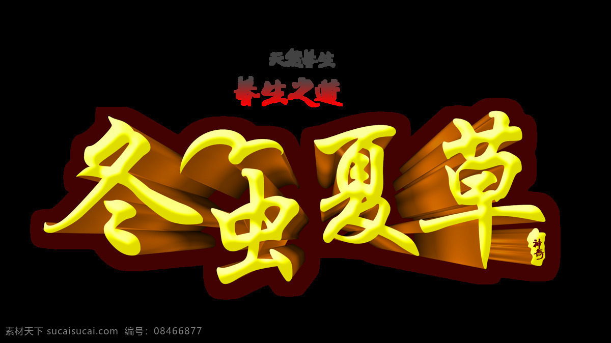 冬虫夏草 养生之道 中国 风 立体 艺术 字 字体 广告 中国风 艺术字 海报 元素