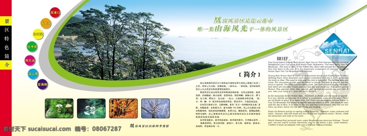 300 广告设计模板 海景 画册 画册设计 江苏 旅游 松树 连云港 凤凰湾 源文件 风景 生活 旅游餐饮