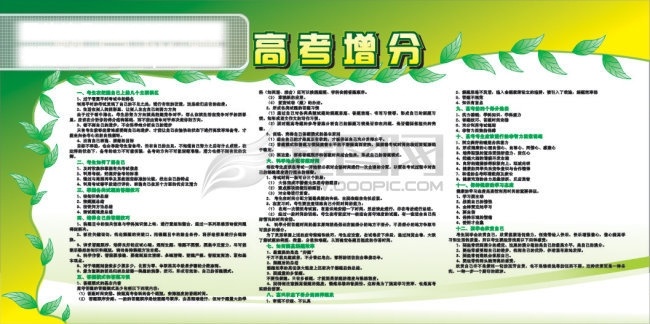 矢量叶子 科学应考 高考前建议 白色