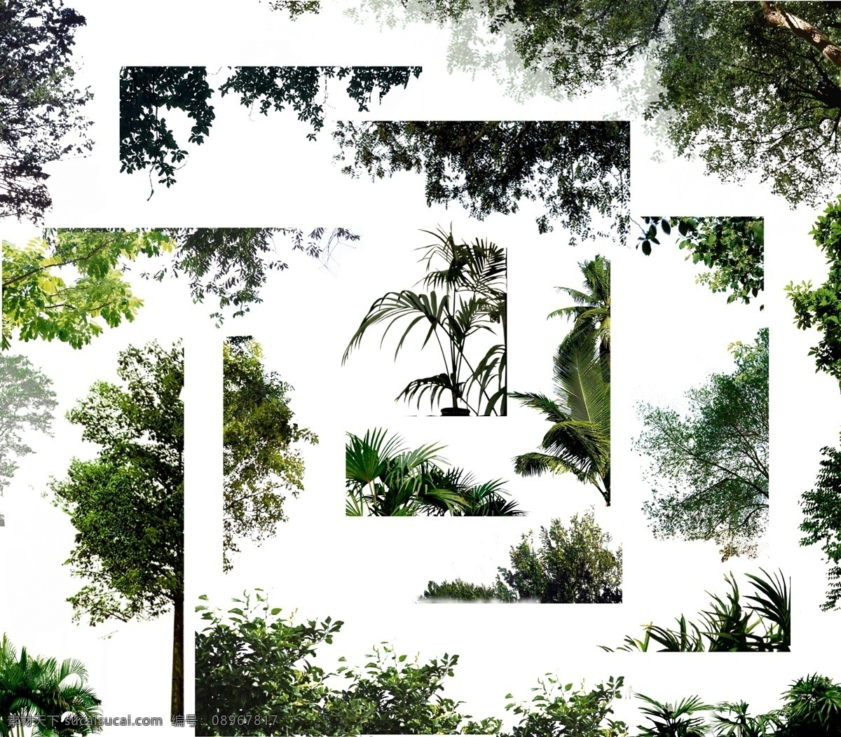 效果图 前景 树 室外 配景 园林 景观 贴图 园林建筑 建筑配景 装饰 风景 分层 源文件