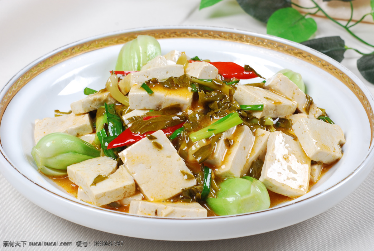 浆水菜炒豆腐 美食 传统美食 餐饮美食 高清菜谱用图