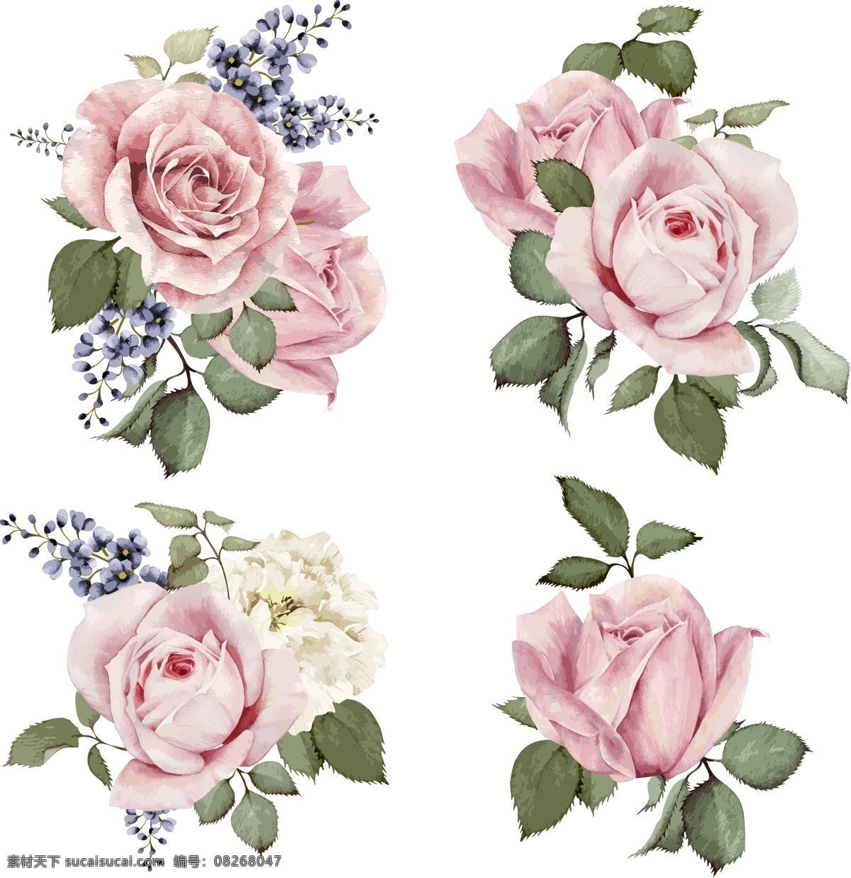 手绘花朵 手绘玫瑰花 手绘花卉 手绘鲜花 花卉 边框 花朵 花 花朵肌理 盛开牡丹花