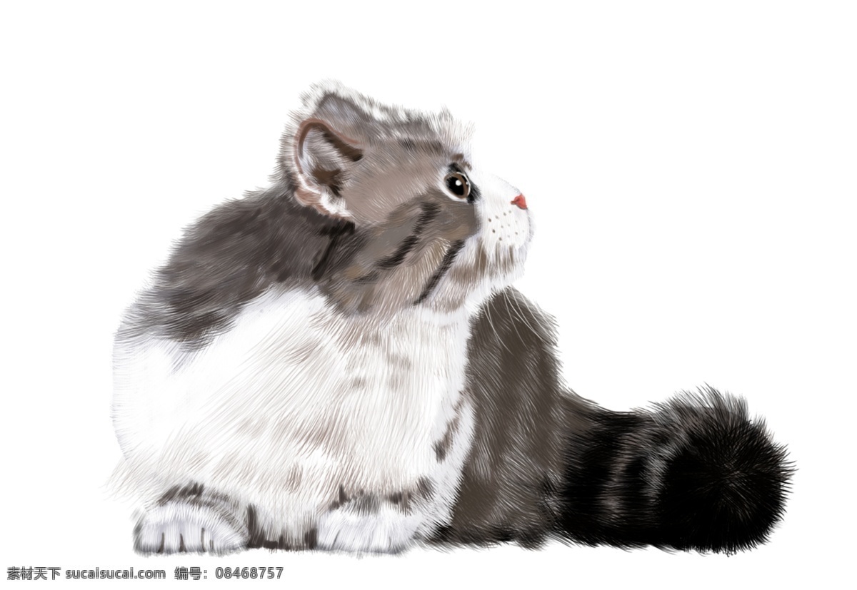 萌 宠 主题 猫咪 手绘 插画 卡通 精美 海报插画 广告插画 小清新 简约风 装饰图案 萌宠主题