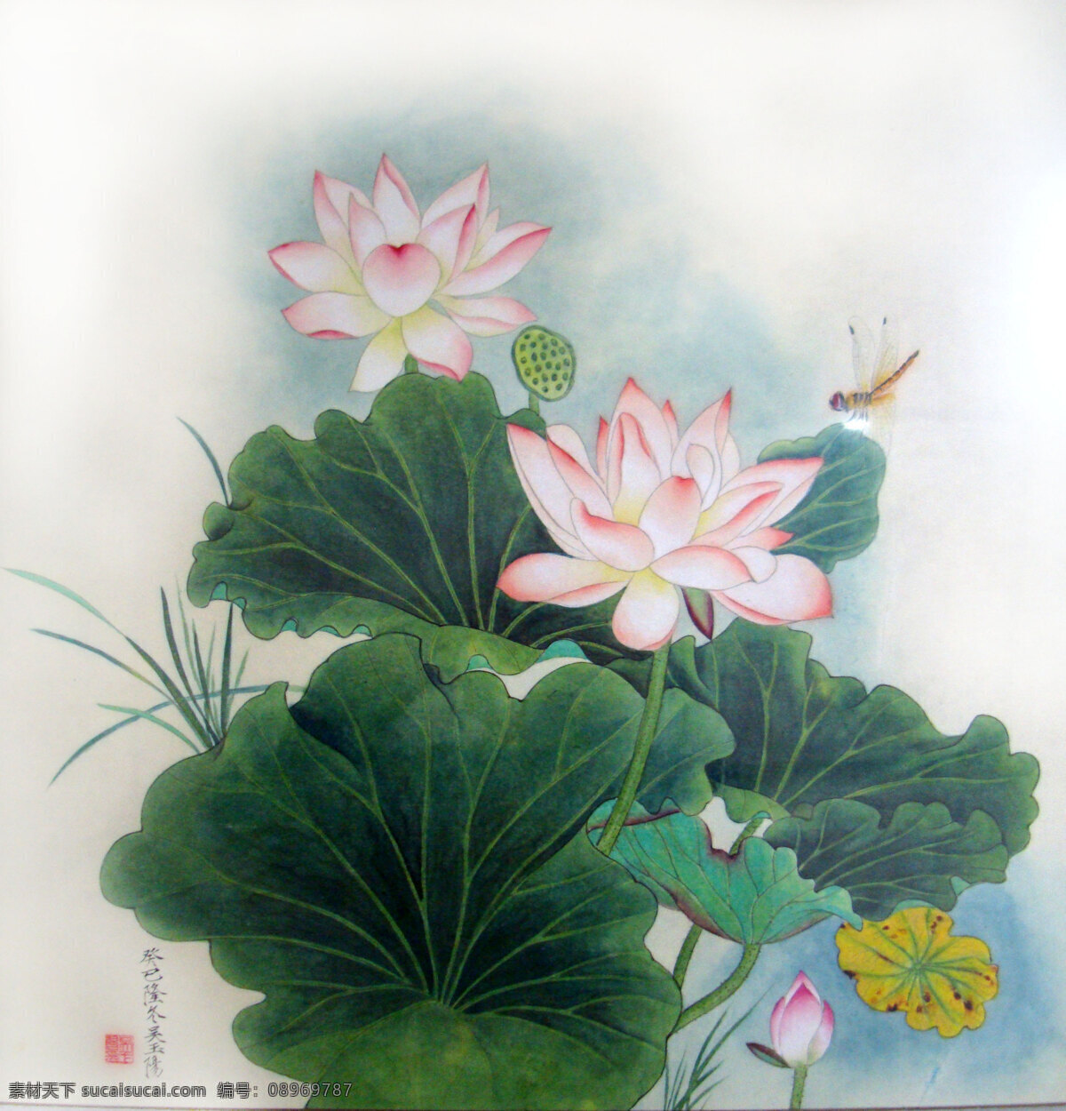 吴 玉阳 工笔画 重彩画 荷花 蜻蜓 吴玉阳 文化艺术 绘画书法