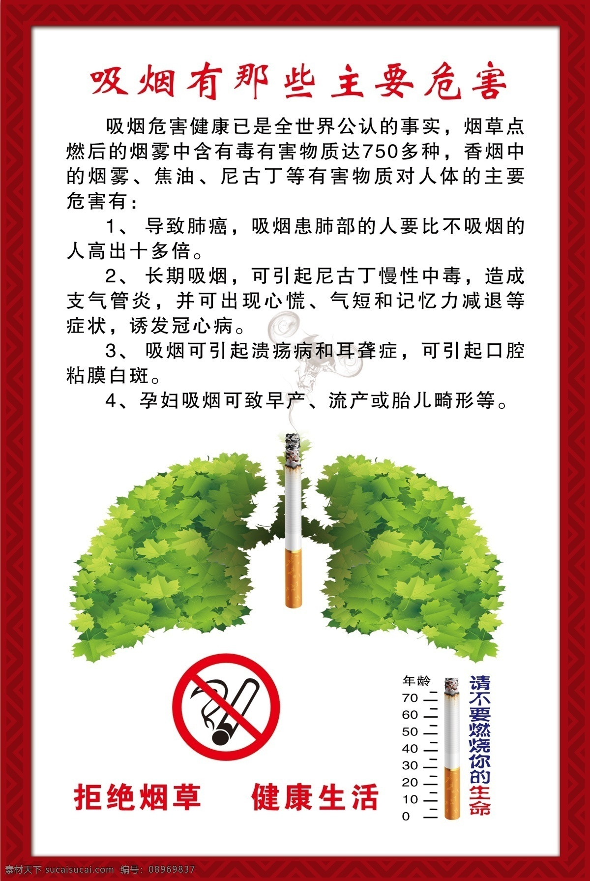 吸烟危害 烟与双肺 吸烟主要危害 吸烟燃烧生命 拒绝烟划 健康生活 健康生活展板