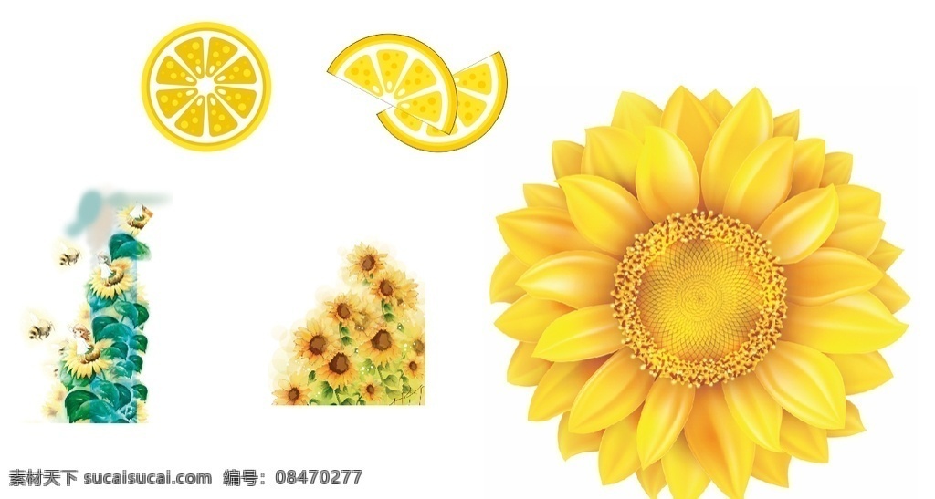 向日葵柠檬 向日葵 柠檬 柠檬片 矢量柠檬 向日葵海报 向日葵展板 向日葵素材 向日葵广告 户外向日葵 向日葵宣传 向日葵节 向日葵文化 向日葵背景 向日葵摄影 向日葵特写 向日葵设计 向日葵图片 向日葵花海 向日葵创意 向日葵写真 向日葵田野 向日葵标语 向日葵花语 向日葵寓意