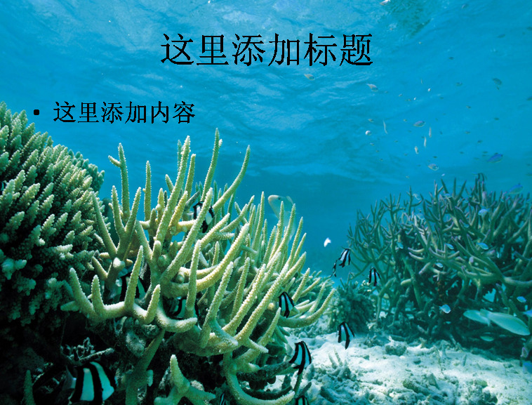 电脑 封面 海底 世界 背景图片 风景 ppt封面 高清 海底世界 自然风景 模板