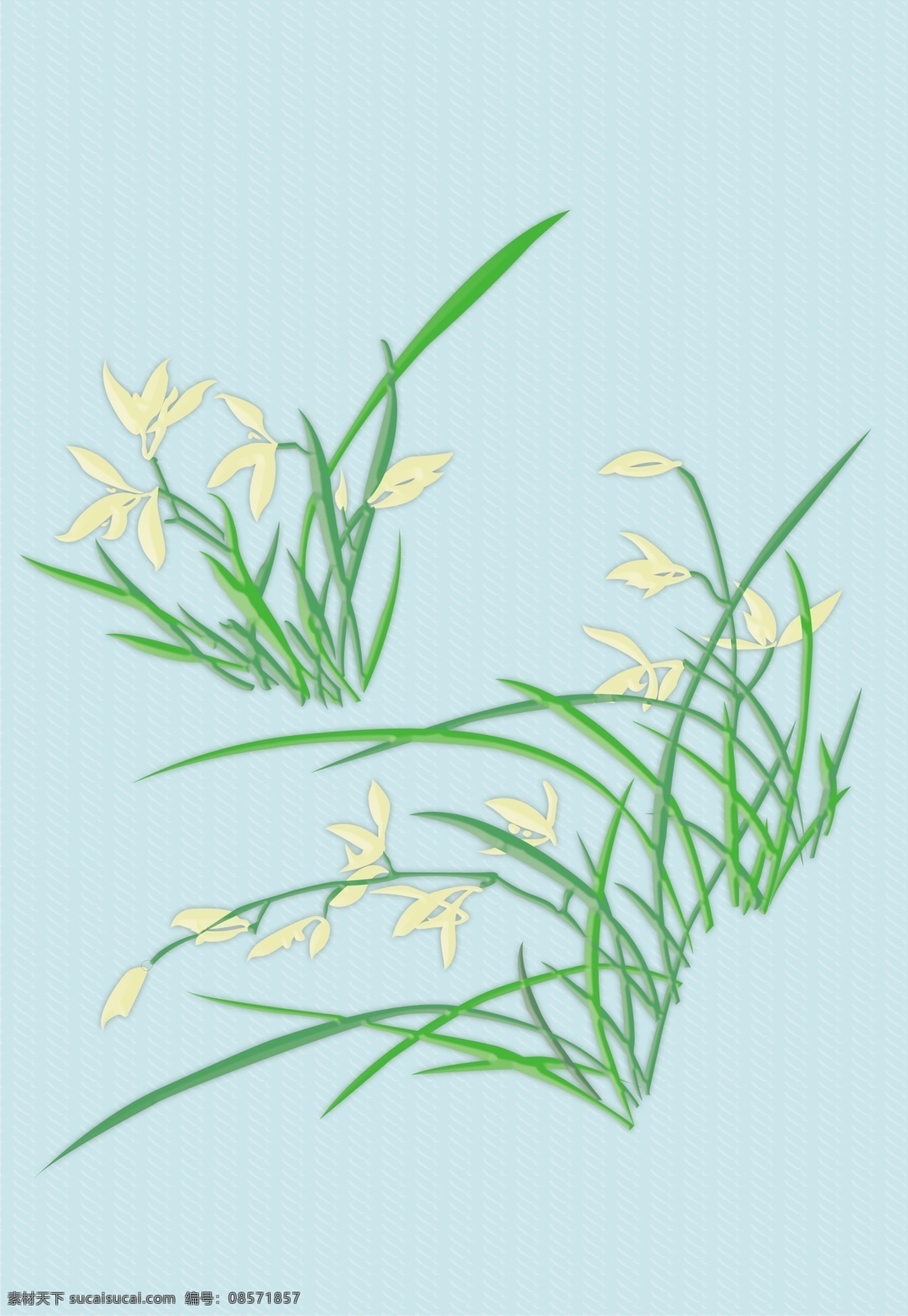 兰花 分层 草 花 梅兰竹菊 源文件 兰 矢量图 日常生活
