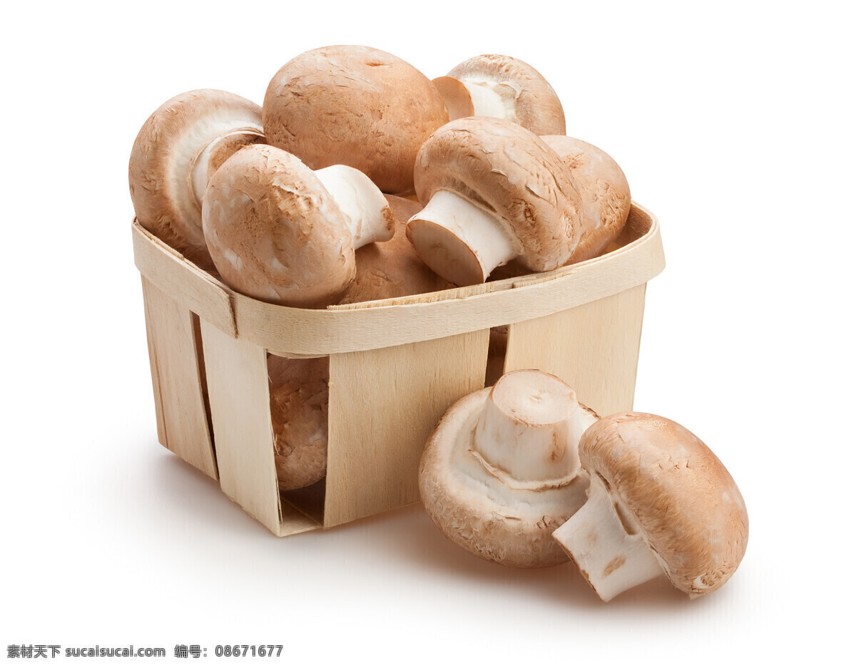 箩 框 磨 菇 香菇 蘑菇 菌类 蔬菜 食物原料 食材原料 食物摄影 餐饮美食 蘑菇图片
