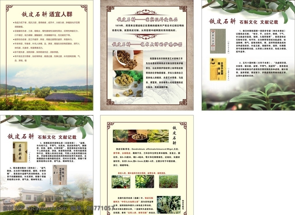 铁皮石斛设计 铁皮石斛标签 石斛彩页设计 铁皮石斛功效 石斛包装设计 铁皮石斛 包装设计