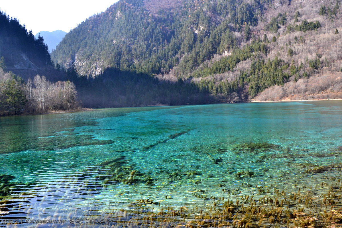 九寨沟 五花海 湖水 蓝色 秋 自然风景 自然景观