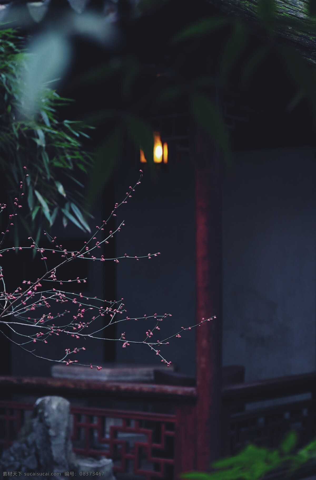 寺庙 走廊 尽头 花蕾 花苞 枝头 背景 背景素材