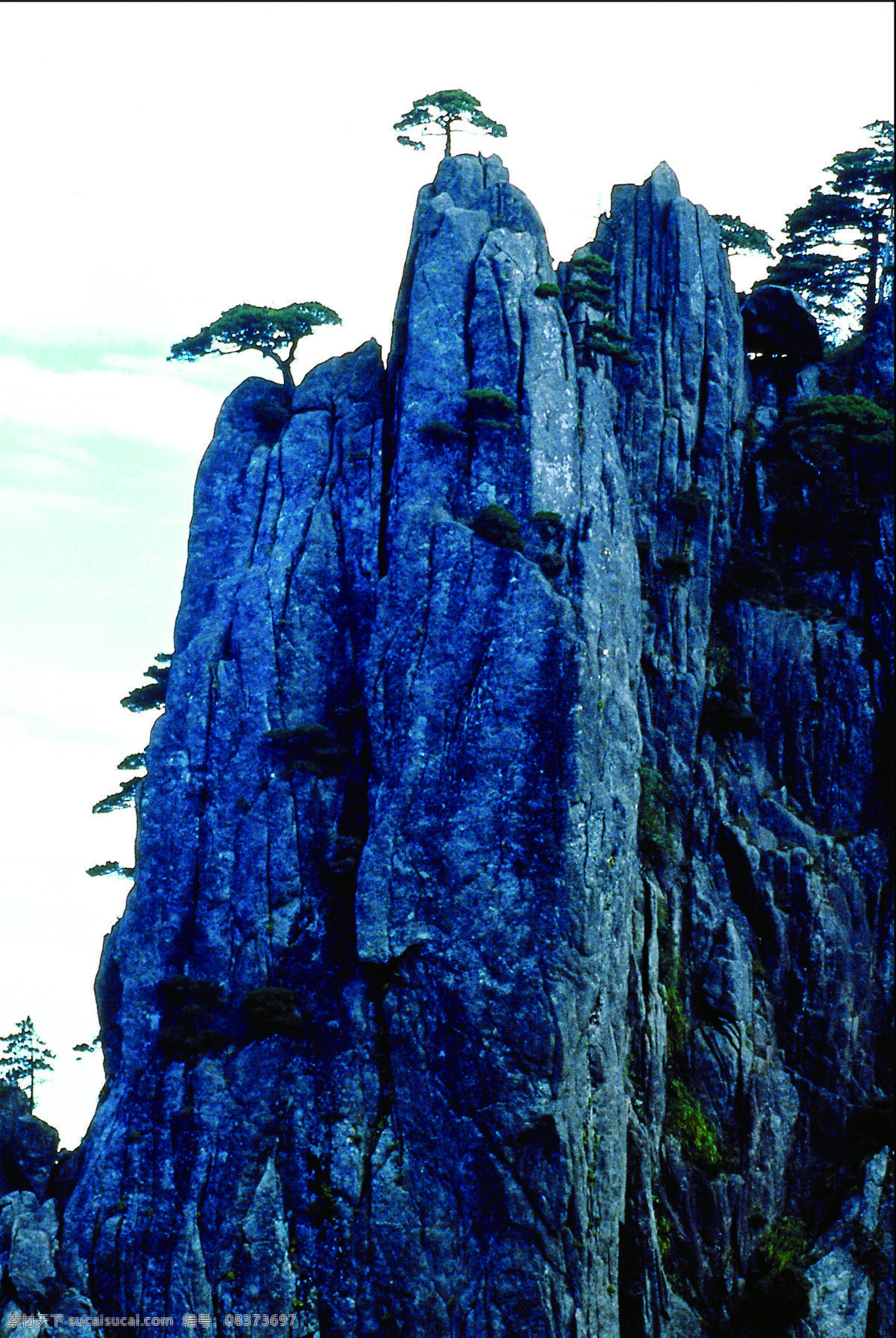 庐山风景 松树 自然风景 迎客松 石头 风景名胜 自然景观